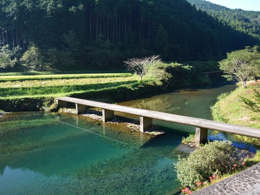 夏に行きたい「高知県の絶景ドライブスポット」ランキング！ 「四万十川」上流周遊ルートを抑えた1位は？