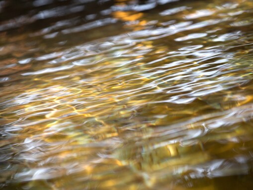 佐賀県で「夏に行きたい穴場の温泉地」ランキング！ 2位「古湯･熊の川温泉」を抑えた1位は？【2025年調査】