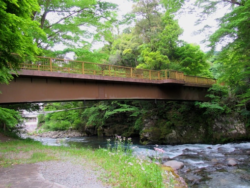 静岡県で「夏に行きたい穴場の温泉地」ランキング！ 2位「天城湯ヶ島温泉郷」、1位は？【2025年調査】