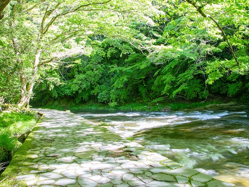 好き＆行ってみたい「千葉県の森林浴スポット」ランキング！ 2位「養老渓谷」、1位は？【2025年調査】