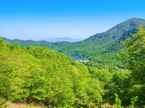 好き＆行ってみたい「群馬県の森林浴スポット」ランキング！ 2位「赤城山」、1位は？【2025年調査】