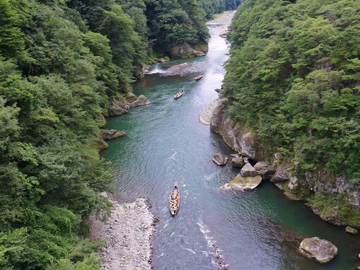 好き＆行ってみたい「栃木県の森林浴スポット」ランキング！ 2位「鬼怒川渓谷」、1位は？【2025年調査】
