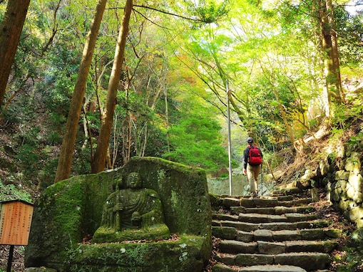 好き＆行ってみたい「神奈川県の森林浴スポット」ランキング！ 2位「大山（丹沢大山）」、1位は？【2025年調査】