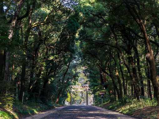 好き＆行ってみたい「東京都の森林浴スポット」ランキング！ 2位「明治神宮の森」、1位は？【2025年調査】
