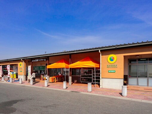 好き＆行ってみたい「岡山県の道の駅」ランキング！ 2位「笠岡ベイファーム」を抑えた1位は？【2025年調査】