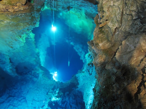 好き＆行ってみたい「岩手県の森林浴スポット」ランキング！ 2位「龍泉洞」を抑えた1位は？【2025年調査】