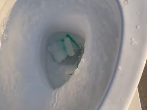 『流せるトイレブラシ』の検証動画にSNSで賛否両論「全然溶けてない」「条件がフェアじゃないと思う」