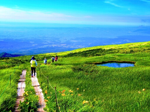 好き＆行ってみたい「山形県の森林浴スポット」ランキング！ 2位「月山」を抑えた1位は？【2025年調査】
