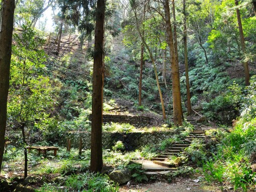 好き＆行ってみたい「石川県の森林浴スポット」ランキング！ 2位「白山」を抑えた1位は？【2025年調査】