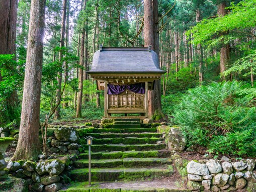 好き＆行ってみたい「富山県の森林浴スポット」ランキング！ 2位「立山（雄山）」を抑えた1位は？【2025年調査】