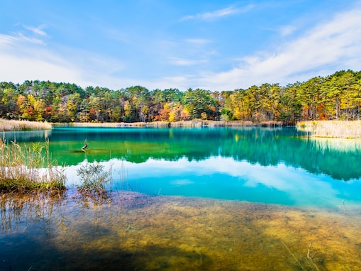 好き＆行ってみたい「福島県の星空スポット」ランキング！ 2位「裏磐梯 五色沼」を抑えた1位は？【2025年調査】