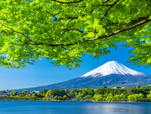 好き＆行ってみたい「山梨県の森林浴スポット」ランキング！ 2位「河口湖」を抑えた1位は？【2025年調査】