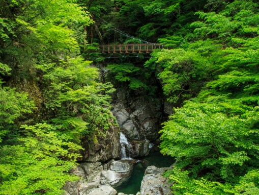 好き＆行ってみたい「奈良県の森林浴スポット」ランキング！ 2位「みたらい渓谷」を抑えた1位は？【2025年調査】