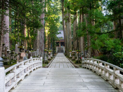 好き＆行ってみたい「和歌山県の森林浴スポット」ランキング！ 2位「高野山奥之院周辺森林」、1位は？【2025年調査】