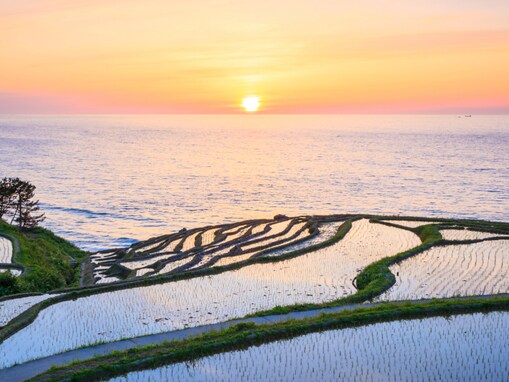 グルメが魅力的な「石川県の道の駅」ランキング！ 2位「千枚田ポケットパーク」を抑えた1位は？【2025年調査】