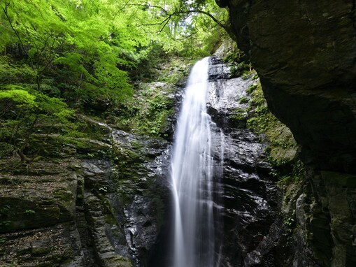奈良県で「夏に行きたい滝」ランキング！ 2位「蜻蛉の滝」、1位は？【2025年調査】