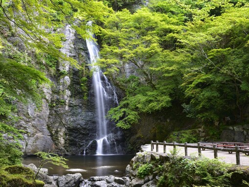 大阪府で「夏に行きたい滝」ランキング！ 2位「せせらぎの滝」、1位は？【2025年調査】
