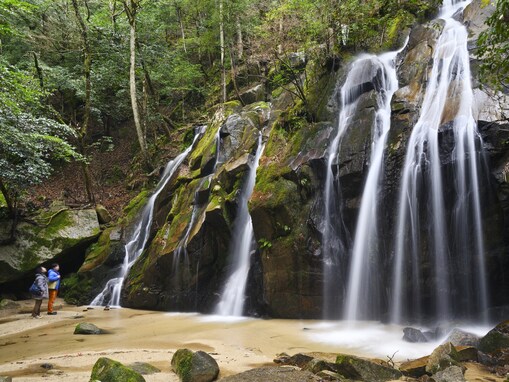 京都府で「夏に行きたい滝」ランキング！ 2位「金引の滝」、1位は？【2025年調査】