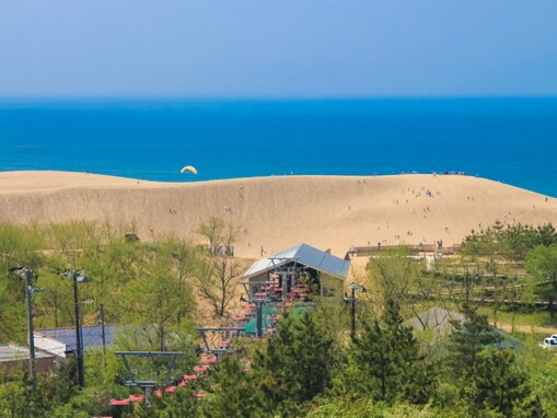 好き＆行ってみたい「鳥取県の森林浴スポット」ランキング！ 2位「鳥取砂丘オアシス広場」を抑えた1位は？【2025年調査】