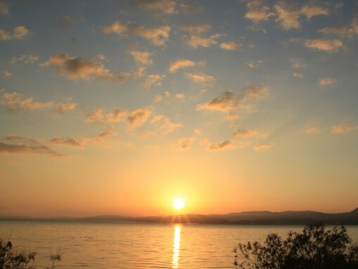 好き＆行ってみたい「島根県の森林浴スポット」ランキング！ 2位「宍道湖西岸森林帯」、1票差の1位は？【2025年調査】