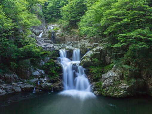 好き＆行ってみたい「広島県の森林浴スポット」ランキング！ 2位「三段峡」を抑えた1位は？【2025年調査】