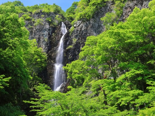 好き＆行ってみたい「香川県の森林浴スポット」ランキング！ 2位「不動の滝（綾川町）」を抑えた1位は？【2025年調査】