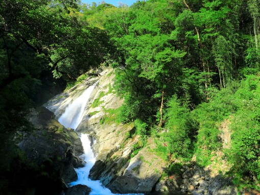 好き＆行ってみたい「高知県の森林浴スポット」ランキング！ 2位「轟の滝（津野町）」を抑えた1位は？【2025年調査】