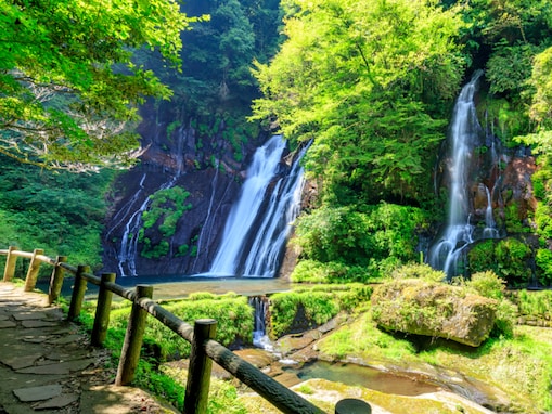 大分県で「夏に行きたい滝」ランキング！ 2位「白水の滝」を大差で抑えた1位は？【2025年調査】