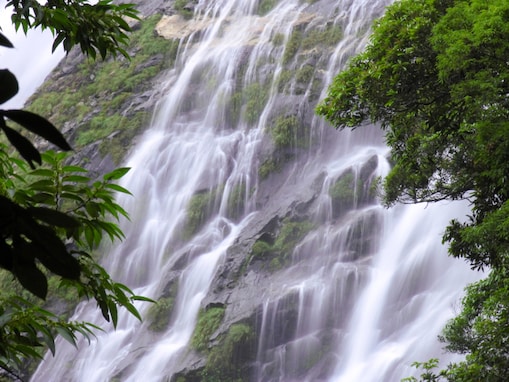 鹿児島県で「夏に行きたい滝」ランキング！ 2位「大川の滝」を僅差で抑えた1位は？【2025年調査】