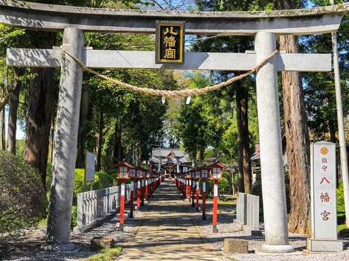 「栃木県の開運神社」ランキング！ 2位「薬師寺八幡宮」、1位は？【2025年調査】
