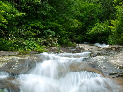 富山県で「夏に行きたい滝」ランキング！ 「龍神の滝」を倍以上の票数で抑えた1位は？【2025年調査】
