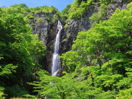 香川県で「夏に行きたい滝」ランキング！ 2位「不動の滝」、1位は？【2025年調査】