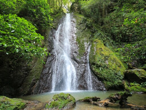 愛媛県で「夏に行きたい滝」ランキング！ 2位「紅葉ヶ滝」、1位は？【2025年調査】