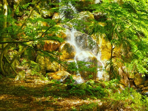 鳥取県で「夏に行きたい滝」ランキング！ 2位「龍王滝」、1位は？【2025年調査】