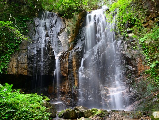 岡山県で「夏に行きたい滝」ランキング！ 2位「トヤの夫婦滝」、1位は？【2025年調査】