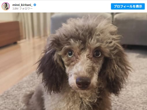 桐谷美玲、新たな家族を紹介！ 大政絢「早く会いたい」切望。「すくすく育ってるからbabyのうちに会ってー」