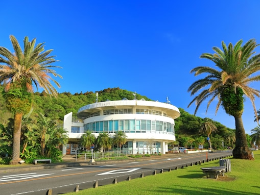 グルメが魅力的な「宮崎県の道の駅」ランキング！ 2位「フェニックス」を抑えた1位は？【2025年調査】