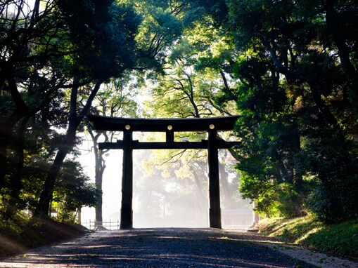森林浴の森百選で行ってみたい「関東の森林浴スポット」ランキング！ 2位「明治神宮の森」、1位は？