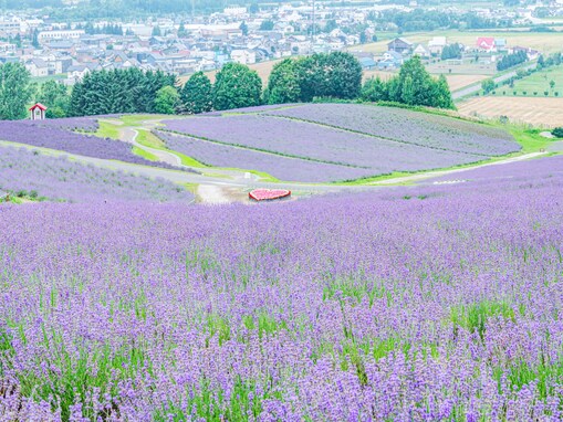 「老後を過ごしたい都道府県」ランキング！ 2位「北海道」を4票差で抑えた、1位は？【2025年調査】
