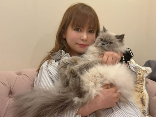 「3809gまできました」妊娠中の中川翔子、近況報告に反響！ 「三つ子じゃないのか」「えらすぎる」