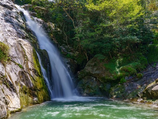 日本百名滝の中で行ってみたい「九州・沖縄の滝」ランキング！ 2位「観音の滝」、1位は？【2025調査】
