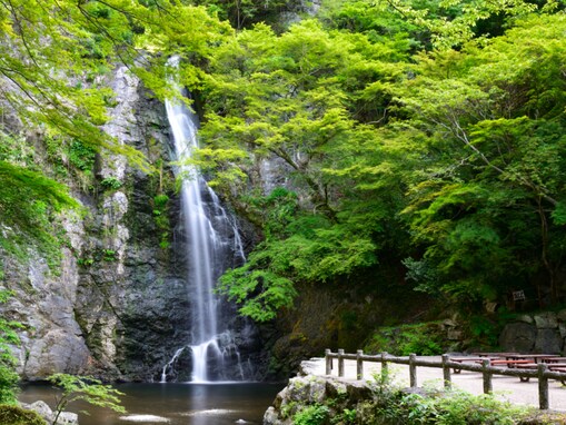 日本百名滝の中で行ってみたい「近畿地方の滝」ランキング！ 2位「箕面滝」、1位は？【2025年調査】