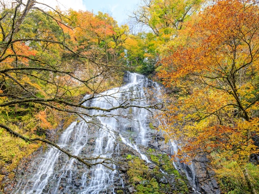 日本百名滝の中で行ってみたい「北信越地方の滝」ランキング！ 2位「龍双ヶ滝」、1位は？【2025調査】