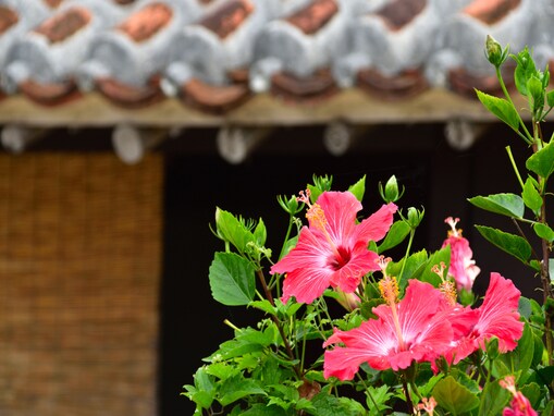 「来世はここに生まれたい」と思う都道府県ランキング！ 2位「沖縄県」を抑えた1位は？【2025年調査】