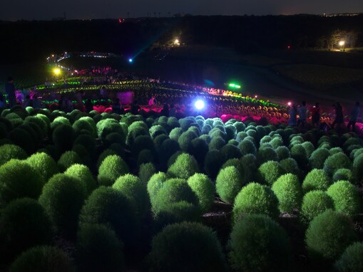 好き＆行ってみたい「茨城県のお月見スポット」ランキング！ 2位「ひたち海浜公園」、1位は？