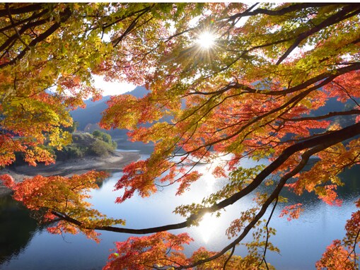 好き＆行ってみたい「福岡県のダム」ランキング！ 2位「油木ダム」、9票差の1位は？【2025年調査】