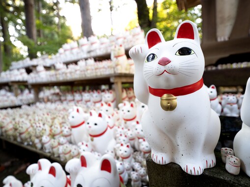 9月7日はトリプル開運日！ 運気が爆上がりする行動・やってはいけないNG行動