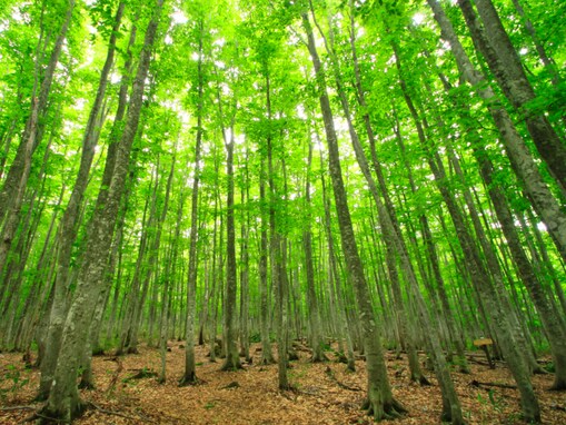 好き＆行ってみたい「岩手県のダム」ランキング！ 2位「荒沢1号ダム」、15票差の1位は？【2025年調査】