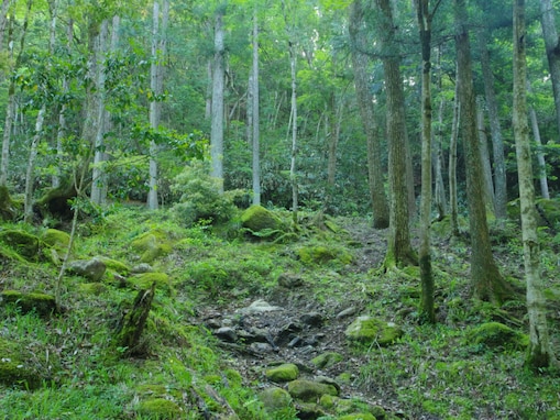 好き＆行ってみたい「広島県のダム」ランキング！ 「飯ノ山ダム」を大差で抑えた1位は？【2025年調査】