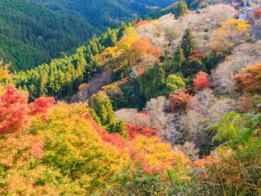 1人旅で行きたい「奈良県の温泉地」ランキング！ 2位「吉野温泉」を抑えた1位は？【2025年調査】
